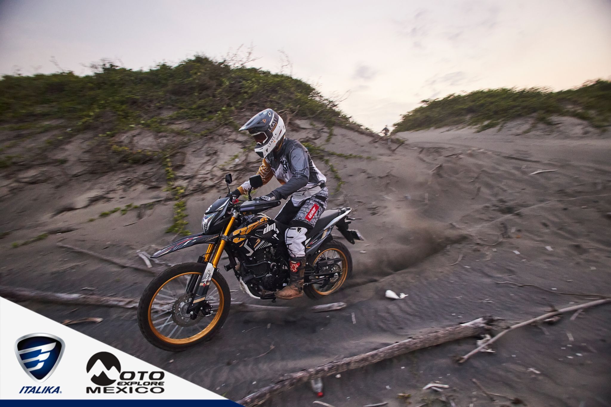 ITALIKA CHACHALACAS D1 449